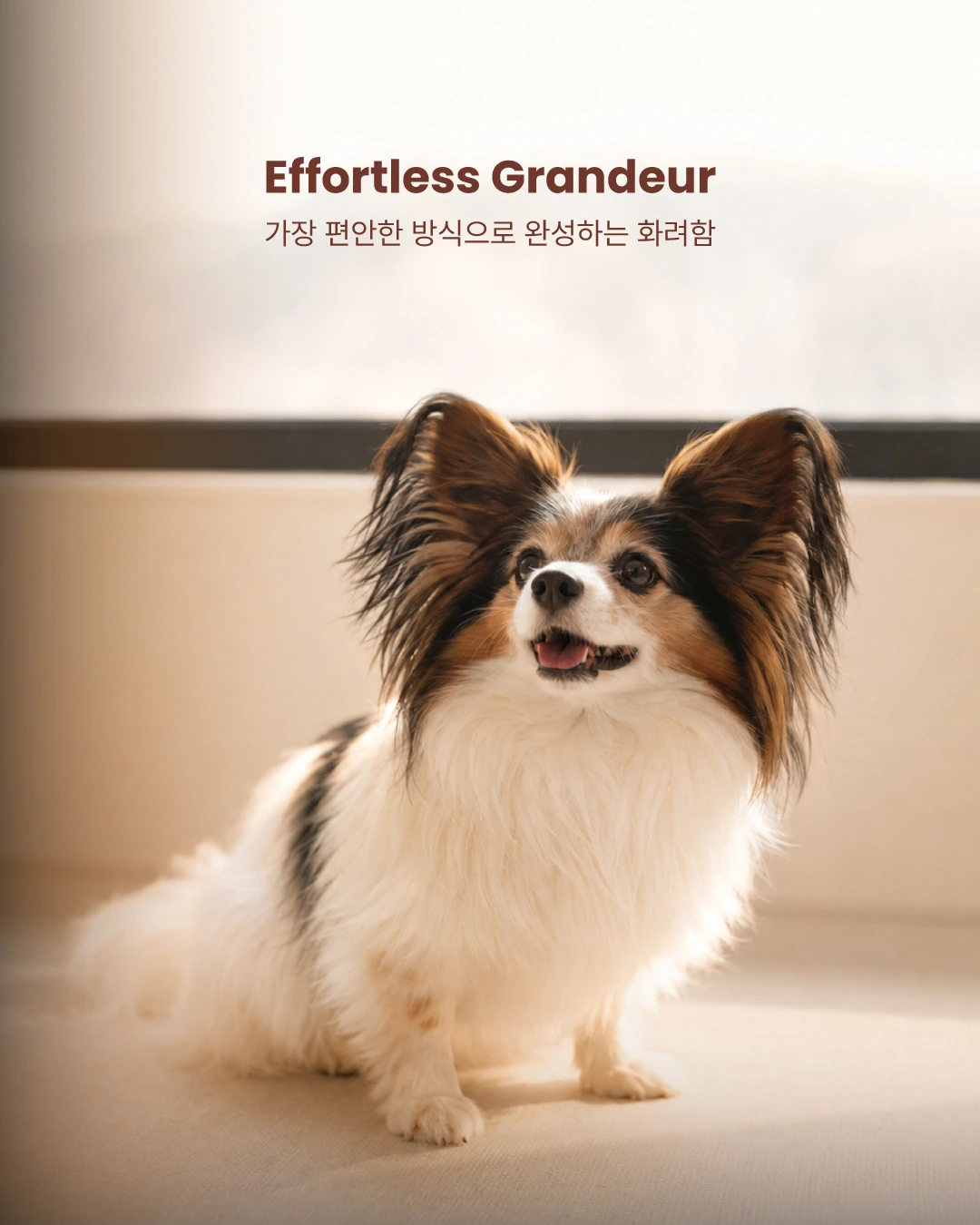 Effortless Grandeur, 가장 편안한 방식으로 완성하는 화려함 — 파피용과 TAILORA의 이야기